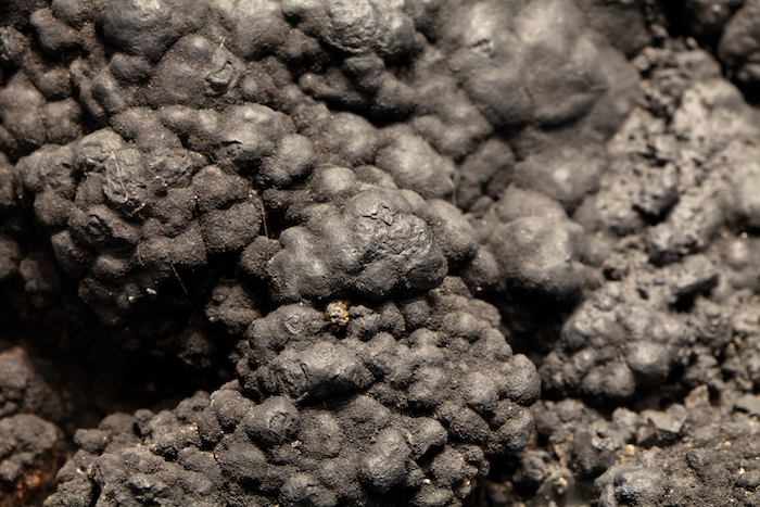 Manganese nodules on seabed