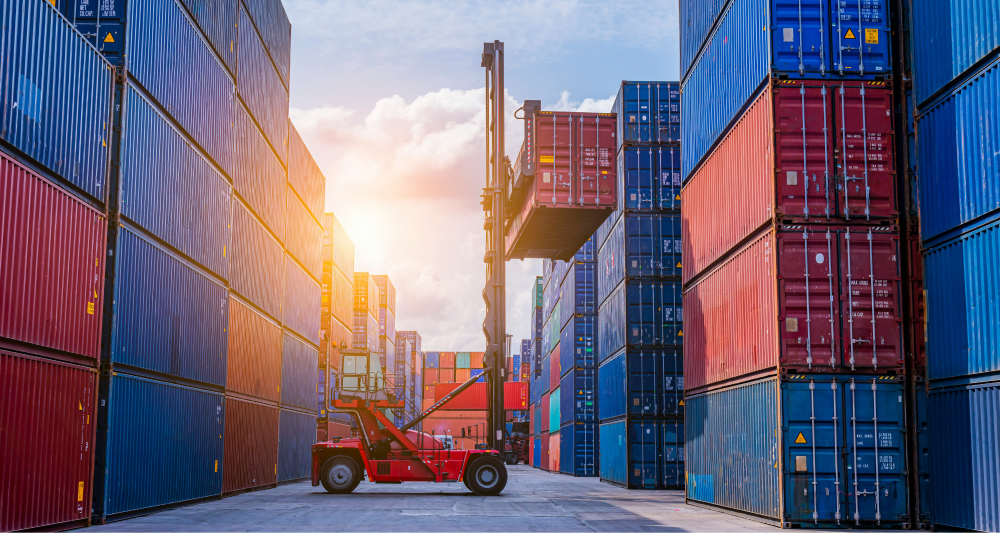 Shipping containers being organized in a port