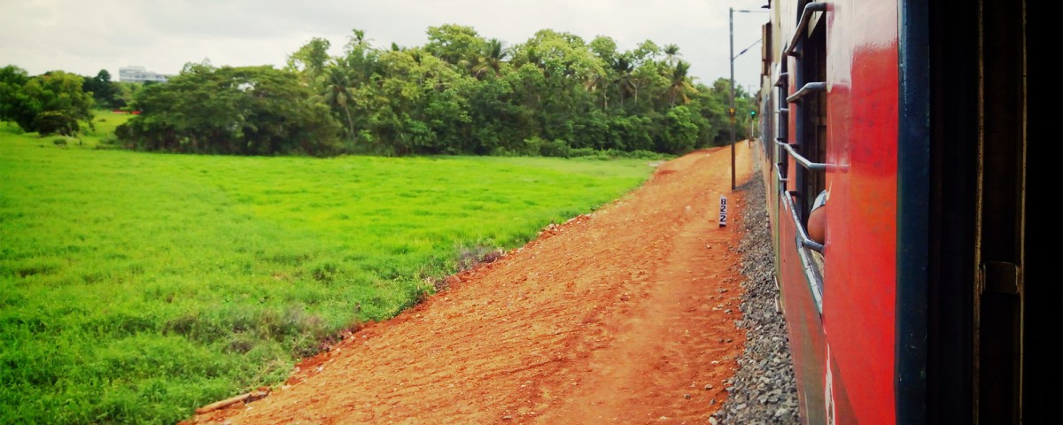 Train travellin across a field in India 