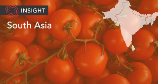 South Asia Map on Banner with tomatoes