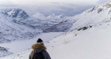 Arctic landscape