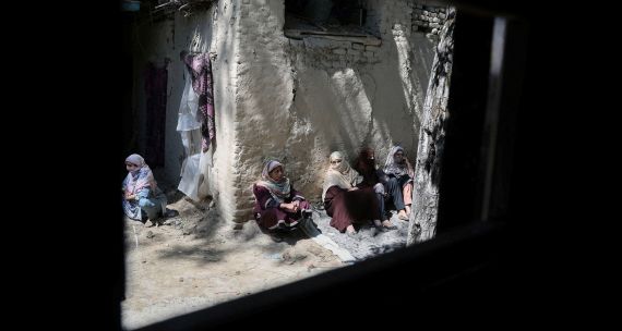 Kashmir 