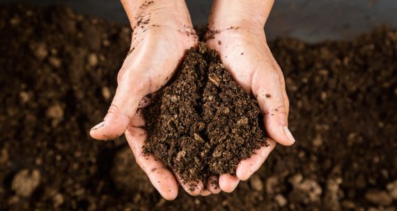 Picture of soil in hands