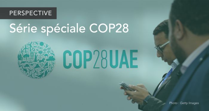 COP28 Insight series banner