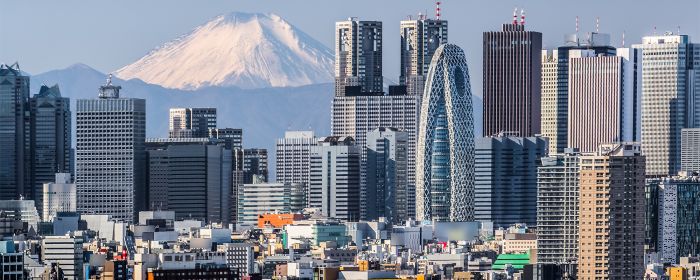 Tokyo Skyline Closeup