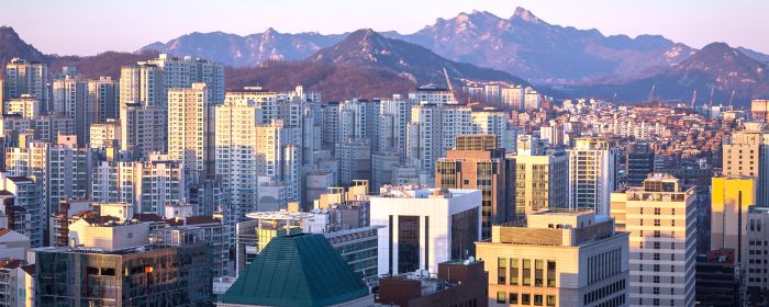 Seoul Skyline Close Up