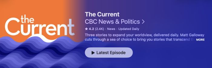CBC News: The Current 